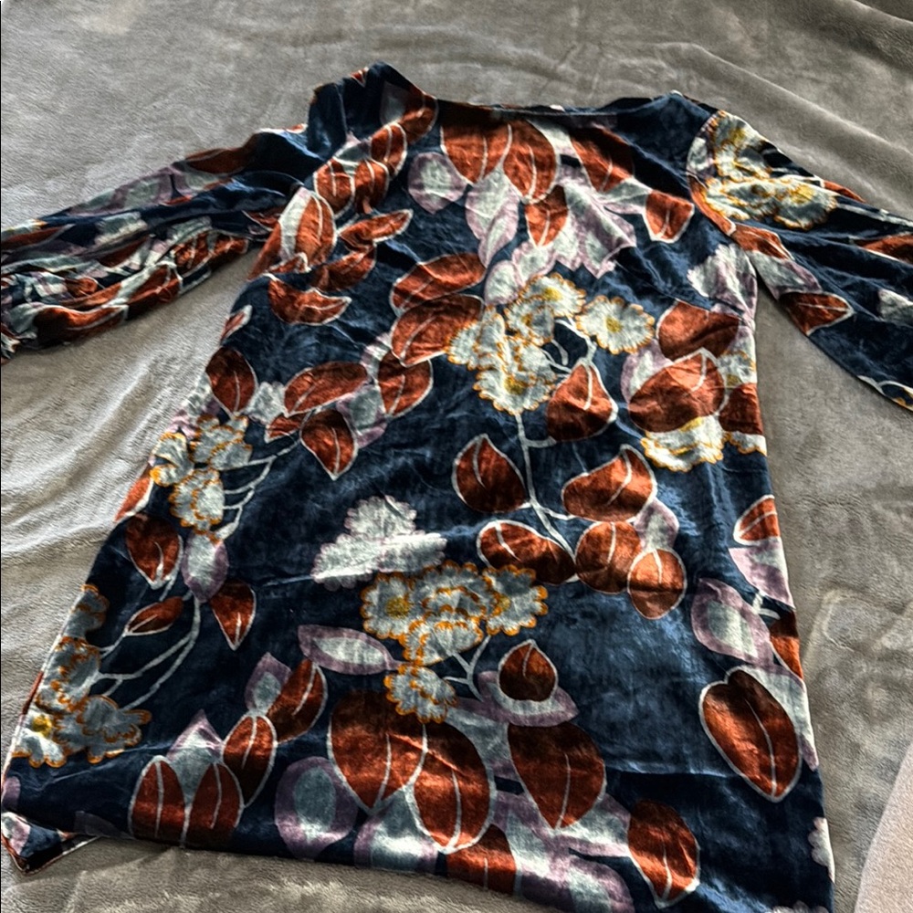 Ann Taylor Velvet Dress with Floral Design